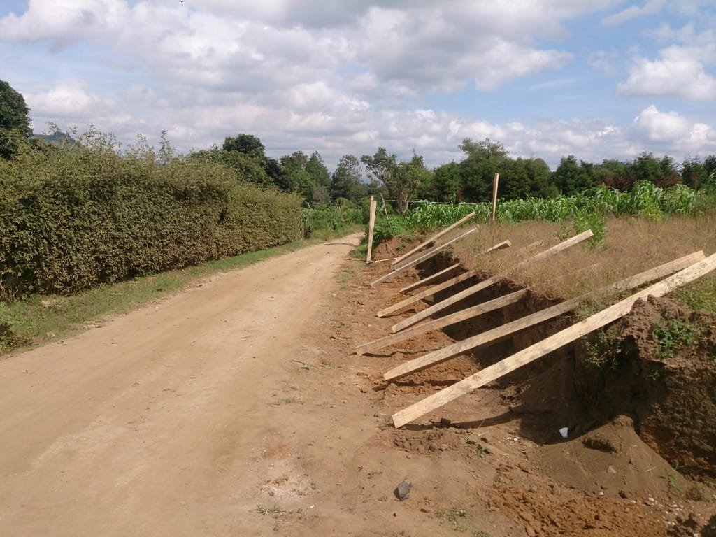 Front fence posts